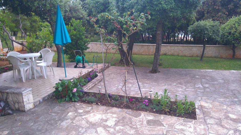 Apartment Basic Petrcane Ngoại thất bức ảnh