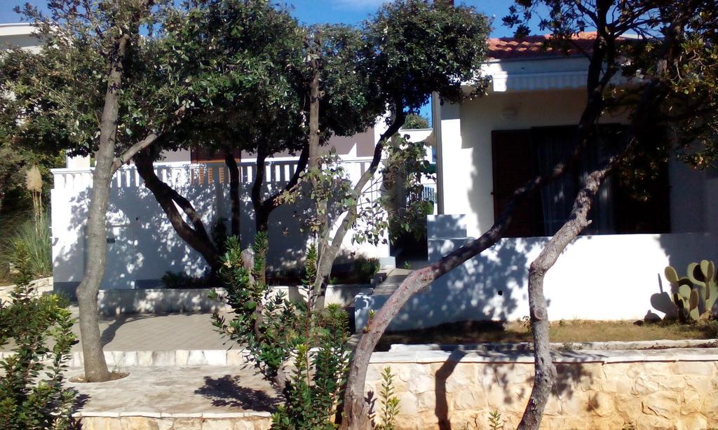 Apartment Basic Petrcane Ngoại thất bức ảnh